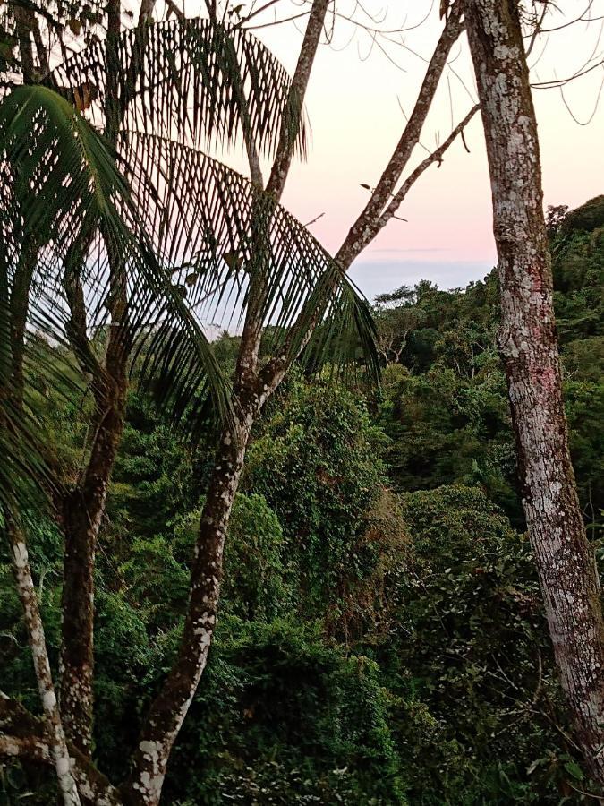 Chale E Suite Manaca Ubatuba Bagian luar foto